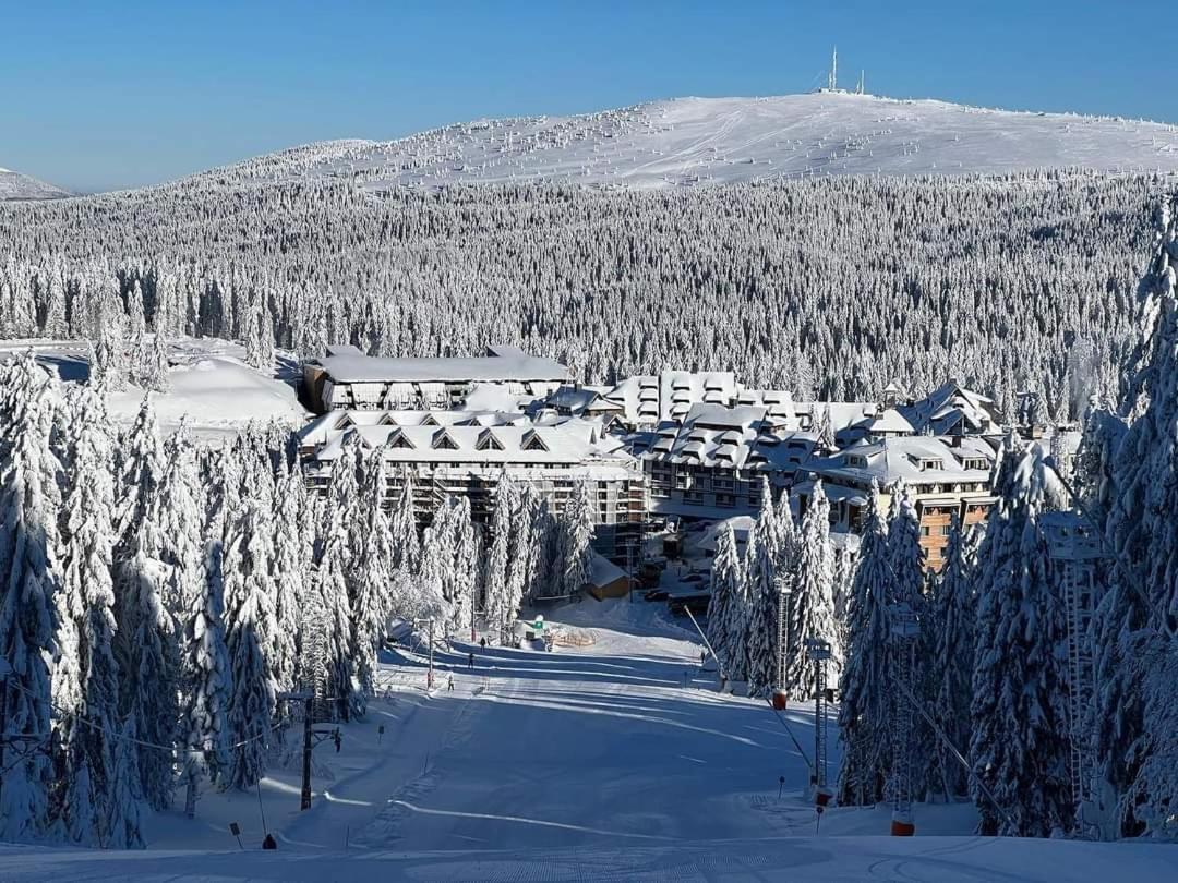 Woodside Apartment M Kopaonik Free Parking Экстерьер фото
