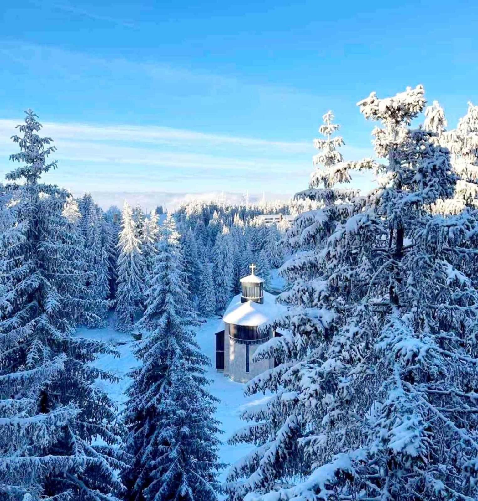 Woodside Apartment M Kopaonik Free Parking Экстерьер фото