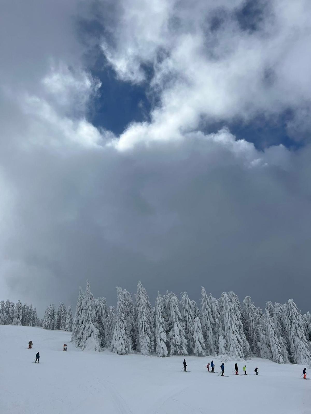 Woodside Apartment M Kopaonik Free Parking Экстерьер фото