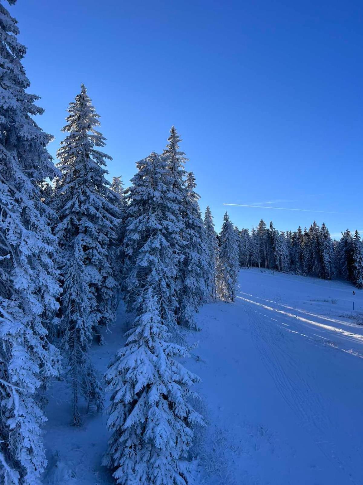 Woodside Apartment M Kopaonik Free Parking Экстерьер фото
